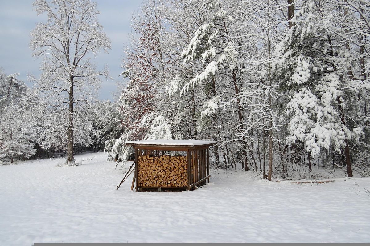 Dřevo schne i v zimě. Zastřešený dřevník umožňuje dřevu dýchat, i když sněží.